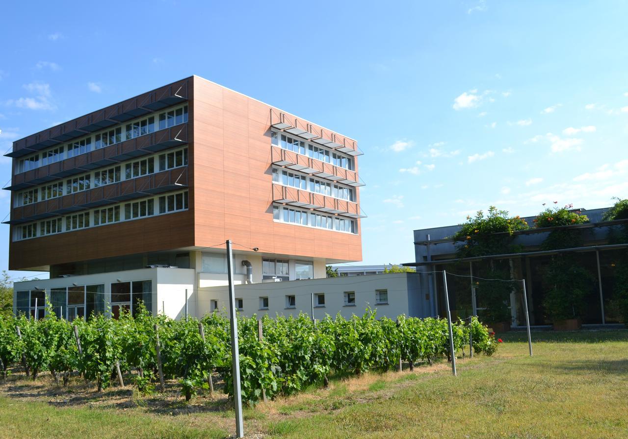 Hotel De Guyenne Talence Exterior foto